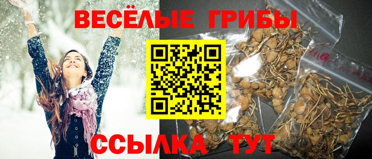 Гашиш Тавда