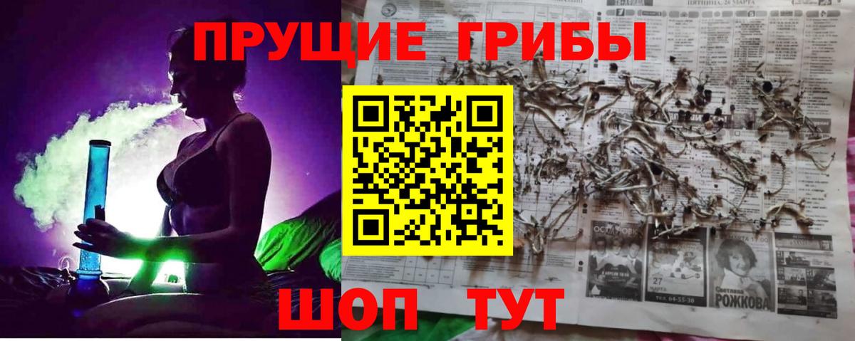купить   Вход с VPN  Тавда  Псилоцибиновые грибы Psilocybine cubensis 